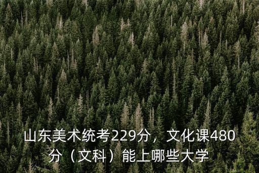 山東美術統考229分，文化課480分（文科）能上哪些大學