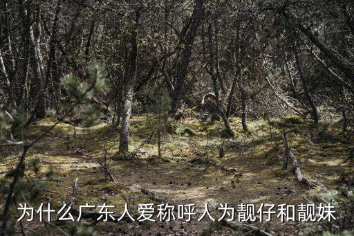 廣東靚仔怎么撩,廣東里稱呼你靚仔