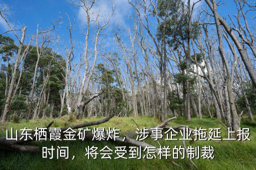 山東棲霞金礦爆炸最新消息死了多少人,山東棲霞金礦發(fā)生爆炸