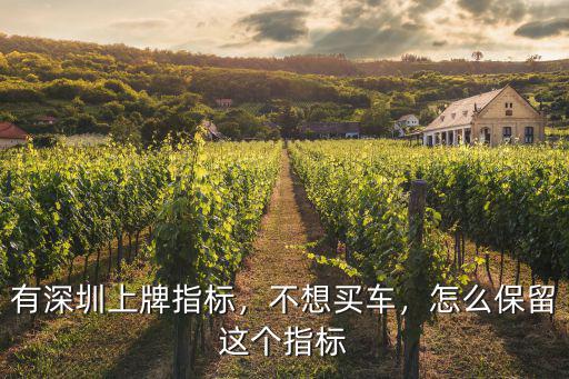 搖到深圳號牌指標怎么出租,有深圳上牌指標