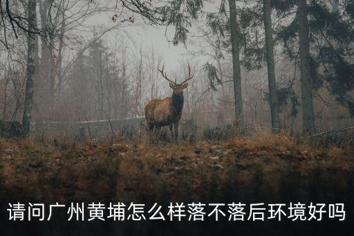 廣州峰靈怎么樣,請(qǐng)問(wèn)廣州黃埔怎么樣