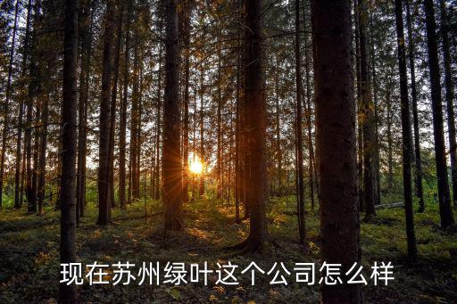 蘇州綠葉網址多少錢,蘇州綠葉真的可以掙到錢嗎