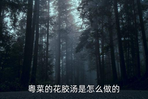 廣東的湯怎么煲的,粵菜的花膠湯是怎么做的