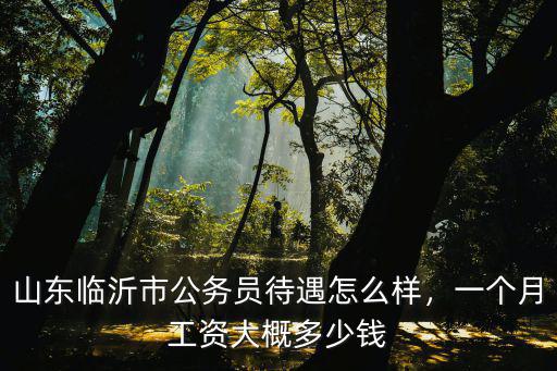 山東國(guó)考報(bào)名要多少錢(qián),公務(wù)員報(bào)名繳費(fèi)需要多少錢(qián)