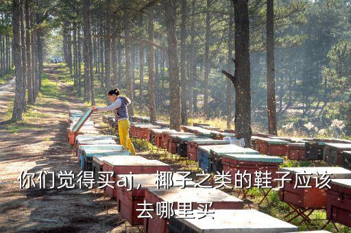 廣州哪里有椰子鞋買,在哪里可以買到正品椰子鞋