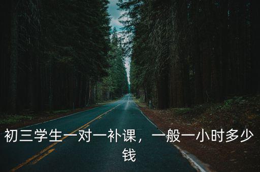 深圳一對一補習都多少錢一小時,初三學生一對一補課
