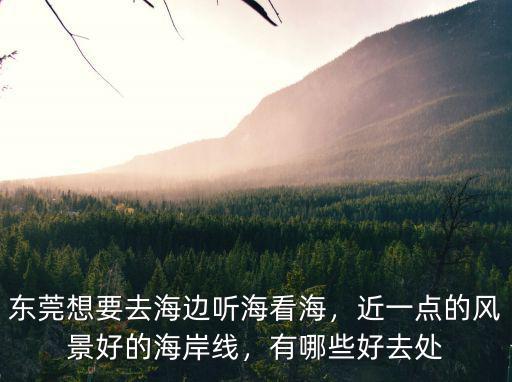 東莞到海邊去哪里最近,東莞想要去海邊聽海看海