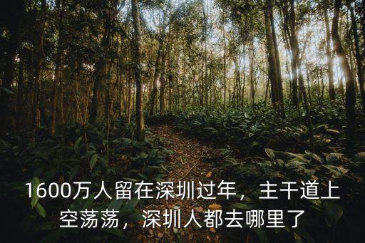 1600萬人留在深圳過年，主干道上空蕩蕩，深圳人都去哪里了