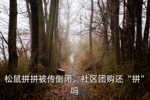 松鼠拼拼被傳倒閉，社區(qū)團(tuán)購還“拼”嗎