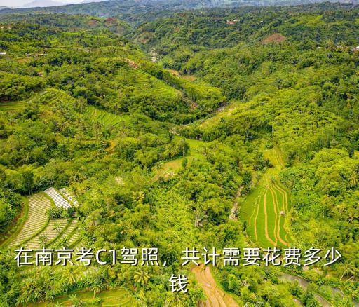 在南京考C1駕照，共計需要花費多少錢