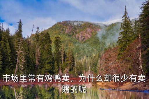 佛山哪里有雞鴨鵝苗賣,市場里常有雞鴨賣