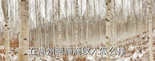 在惠州跑滴滴收入怎么樣