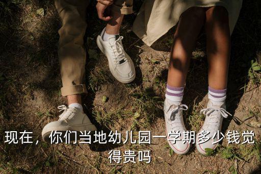 現在，你們當地幼兒園一學期多少錢覺得貴嗎