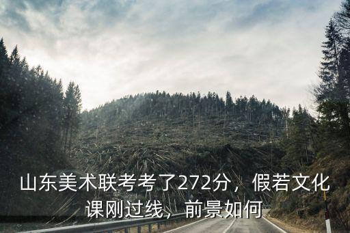 山東美術(shù)聯(lián)考文化課多少分能過,山東美術(shù)聯(lián)考考了272分