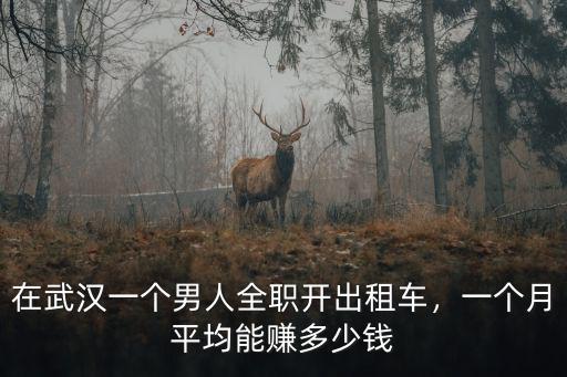 武漢到南通開車多少錢一個月,在武漢一個男人全職開出租車
