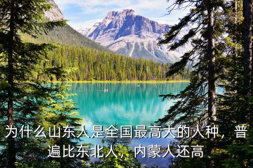 山東省外國人有多少人,普遍比東北人