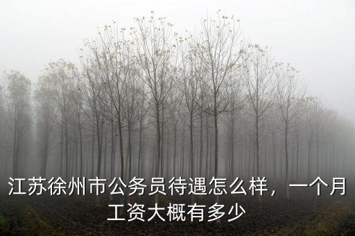 徐州沛縣老師工資多少,一個月工資大概有多少