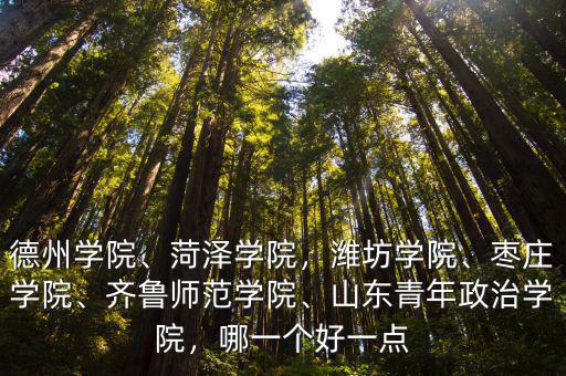 山東青年政治學院在全園排多少名,山東青年政治學院怎么樣