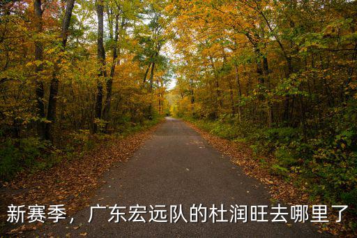 新賽季，廣東宏遠隊的杜潤旺去哪里了