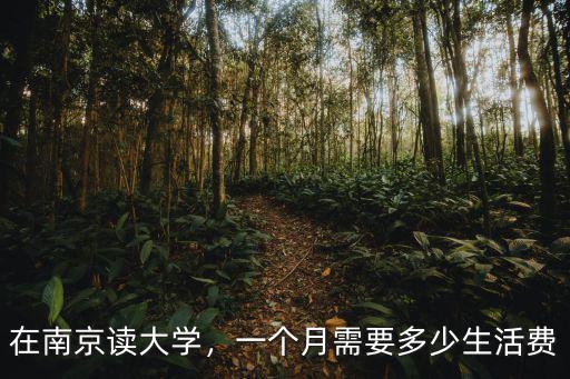 在南京讀大學(xué)生活費(fèi)大概多少,在南京讀大學(xué)