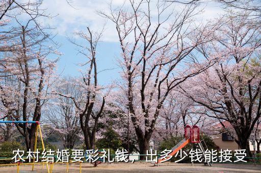 農村結婚要彩禮錢，出多少錢能接受