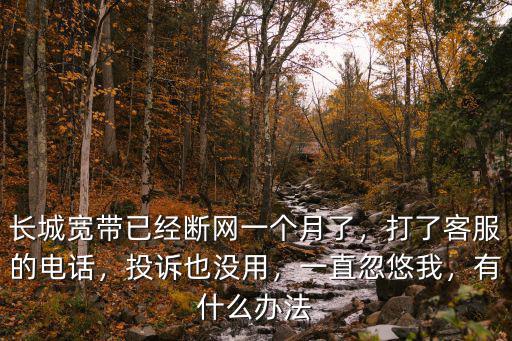長城寬帶已經(jīng)斷網(wǎng)一個(gè)月了，打了客服的電話，投訴也沒用，一直忽悠我，有什么辦法