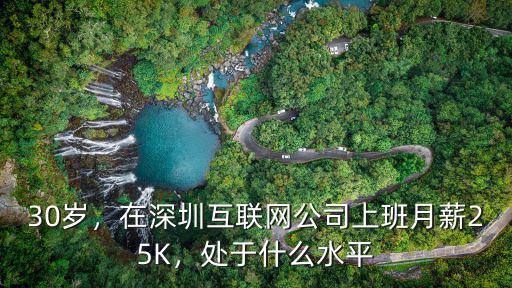 深圳互聯(lián)網(wǎng)28歲應(yīng)該月薪多少錢,在深圳月薪15k