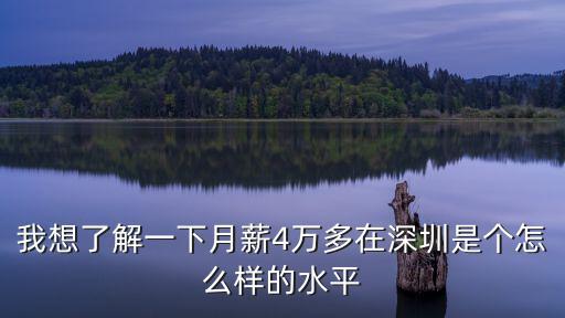 我想了解一下月薪4萬多在深圳是個怎么樣的水平