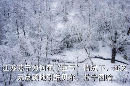 江蘇蘇寧為何在“巨虧”情況下，還義無反顧地引進貝爾，蘇寧圖啥