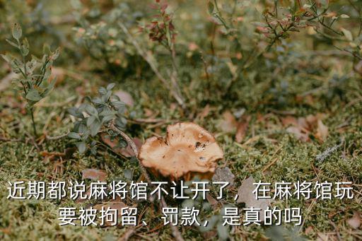 中山麻將館開在哪里,開麻將館要多少錢