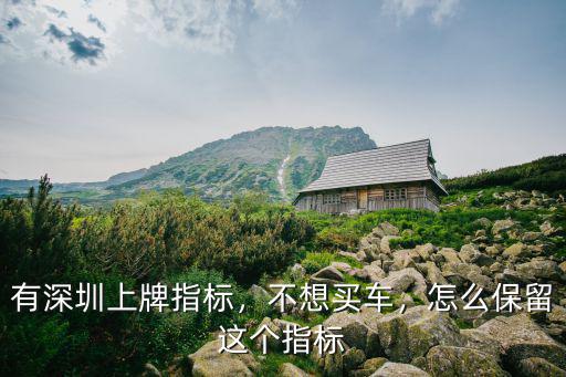 有深圳上牌指標(biāo)，不想買車，怎么保留這個指標(biāo)