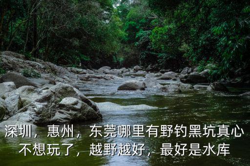 深圳，惠州，東莞哪里有野釣黑坑真心不想玩了，越野越好，最好是水庫