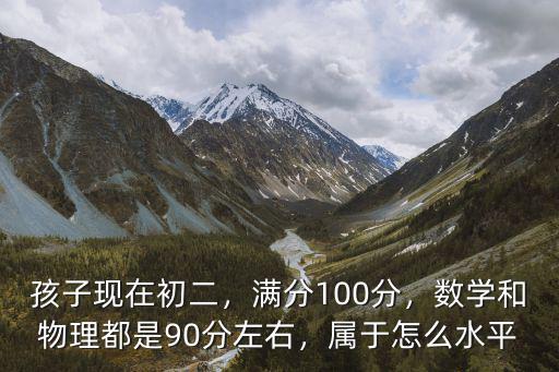 深圳初二平均分在90分怎么樣,滿分100分