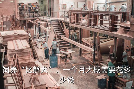 河源的比熊要多少錢,一只純種的比熊犬要多少錢