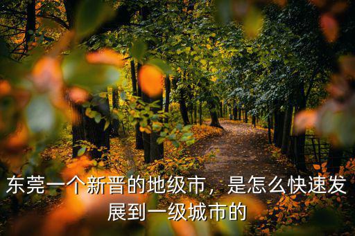 東莞怎么發(fā)展一級(jí)城市,東莞能否成為一線城市