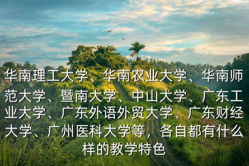 華南理工大學、華南農業大學、華南師范大學、暨南大學、中山大學、廣東工業大學、廣東外語外貿大學、廣東財經大學、廣州醫科大學等，各自都有什么樣的教學特色
