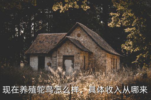 現在養殖鴕鳥怎么樣，具體收入從哪來