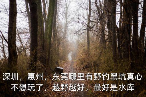 深圳，惠州，東莞哪里有野釣黑坑真心不想玩了，越野越好，最好是水庫