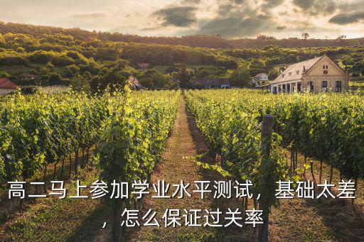 高二馬上參加學業水平測試，基礎太差，怎么保證過關率