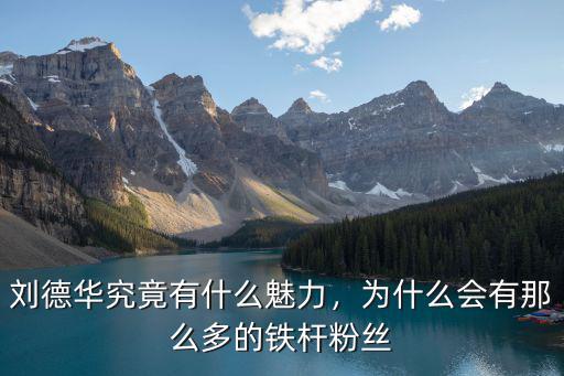 劉德華究竟有什么魅力，為什么會有那么多的鐵桿粉絲