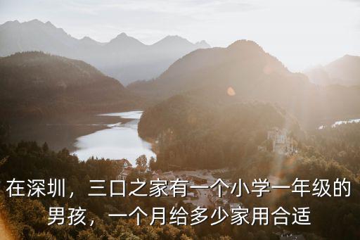 在深圳，三口之家有一個(gè)小學(xué)一年級(jí)的男孩，一個(gè)月給多少家用合適