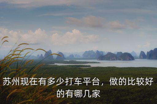 蘇州現在有多少打車平臺，做的比較好的有哪幾家