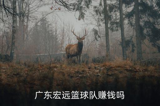 廣東宏遠(yuǎn)籃球隊(duì)賺錢嗎