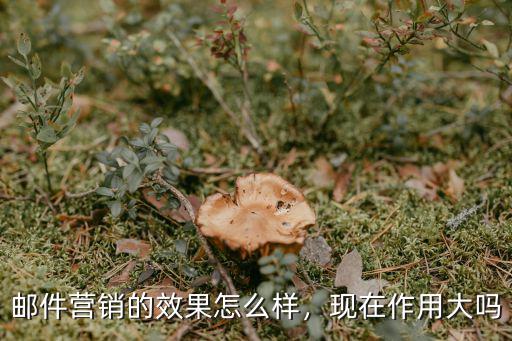 汕頭郵件營銷怎么樣,電子郵件營銷的效果怎么樣