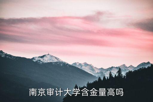南京審計(jì)大學(xué)多少分能上,南京審計(jì)大學(xué)怎樣