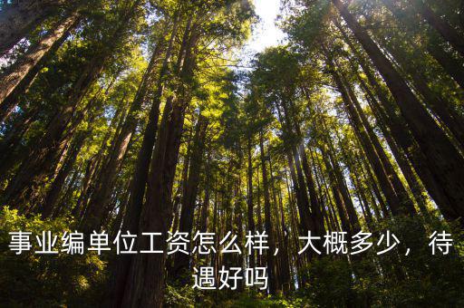 事業編單位工資怎么樣，大概多少，待遇好嗎