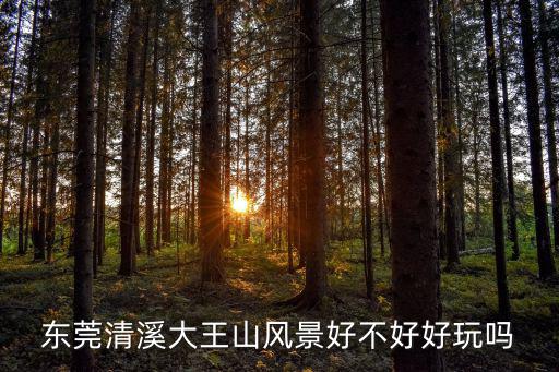 東莞清溪大王山風(fēng)景好不好好玩嗎