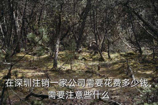 深圳福田注銷0申報公司多少錢,深圳營業執照注銷