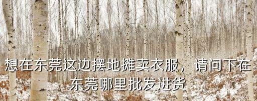 東莞干花批發(fā)市場在哪里,想在東莞這邊擺地攤賣衣服