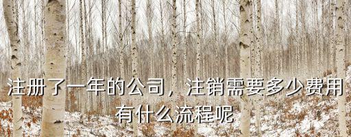 注冊(cè)了一年的公司，注銷(xiāo)需要多少費(fèi)用有什么流程呢
